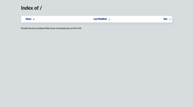 texasbiennial.com