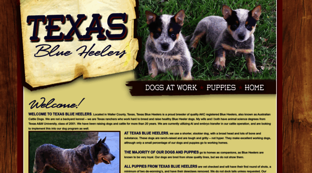 texasblueheelers.com