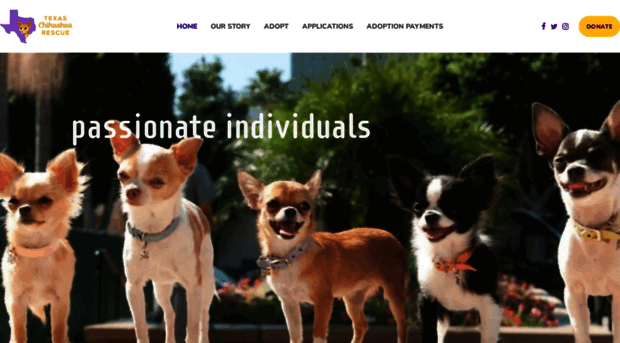 texaschihuahuarescue.com