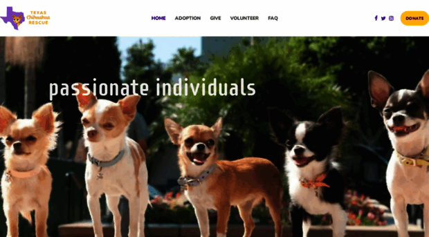 texaschihuahuarescue.org