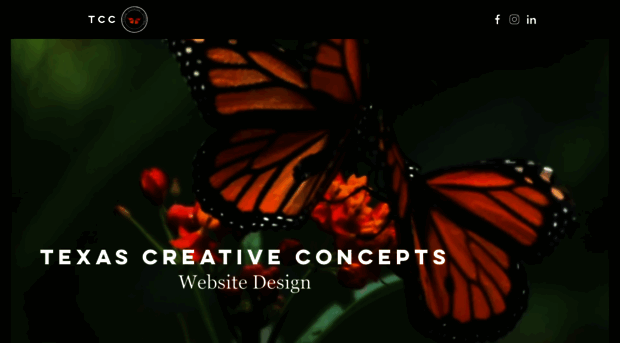 texascreativeconcepts.com