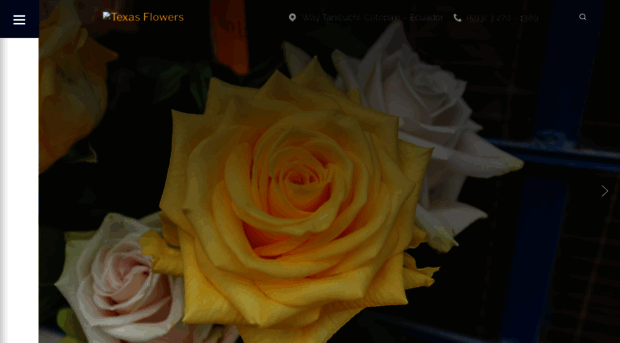 texasflowerssa.com