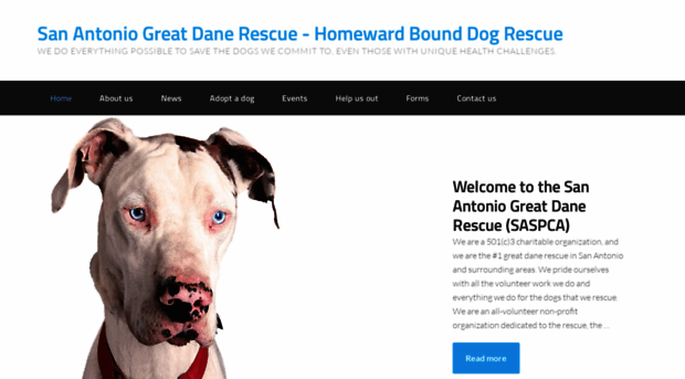 texasgreatdane.org