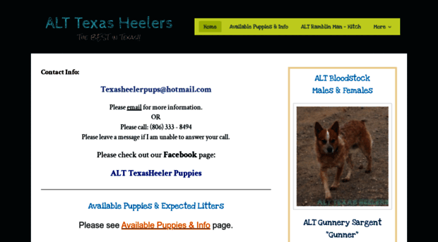 texasheelerpuppies.com