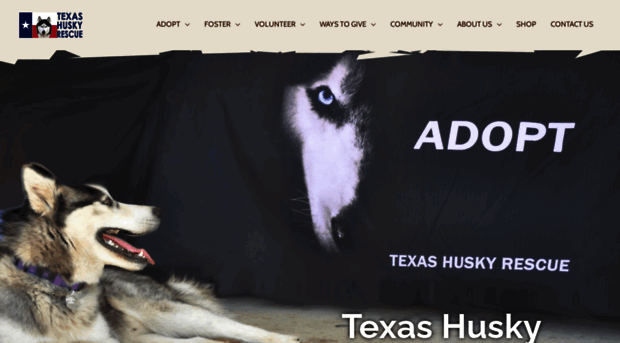 texashuskyrescue.org