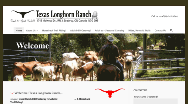 texaslonghornranch.com