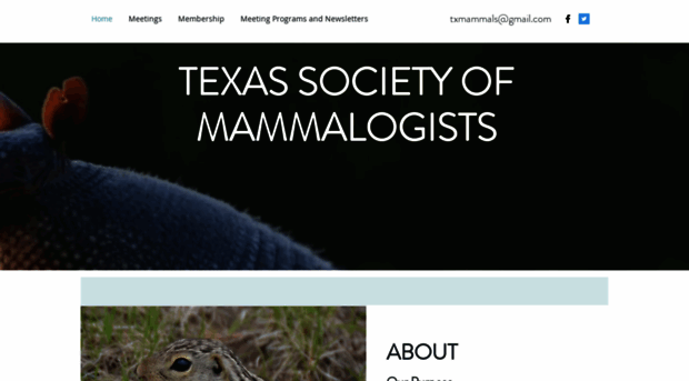 texasmammalogy.org