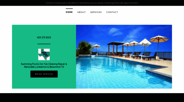 texaspoolguy.com