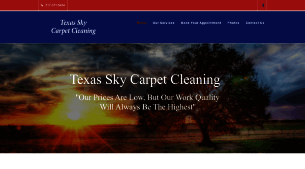 texasskycarpetcleaning.com