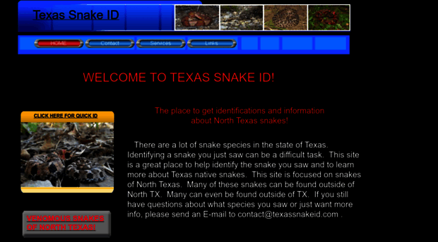 texassnakeid.com