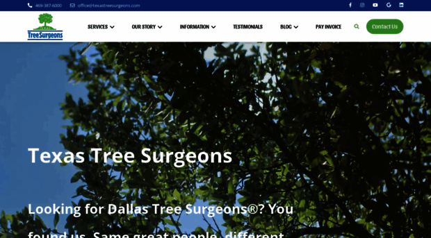 texastreesurgeons.com