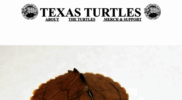 texasturtles.org