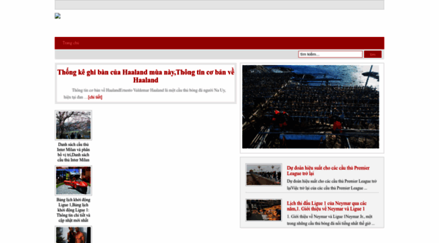 Screenshot of texaswebdevelopers.com website