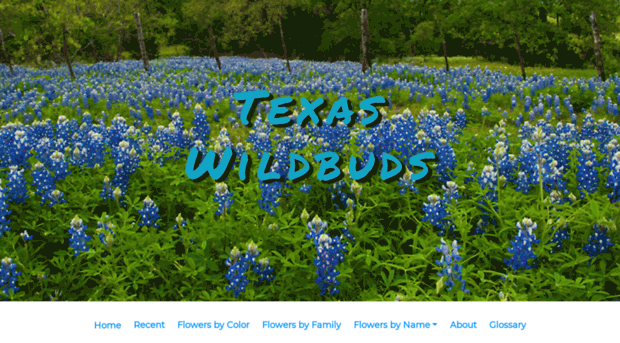 texaswildbuds.com