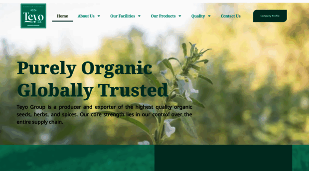 teyo-group.com