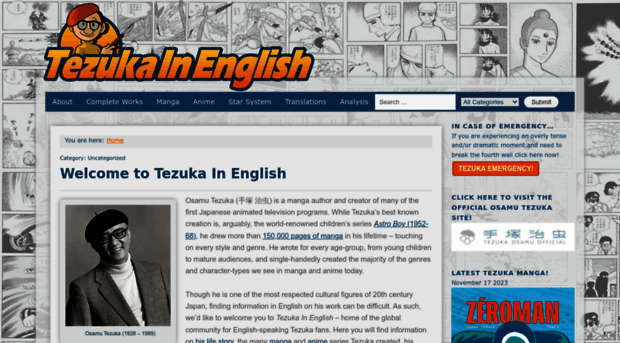 tezukainenglish.com