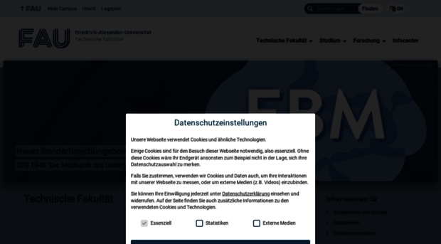 tf.fau.de