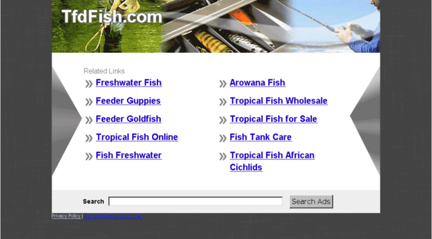 tfdfish.com