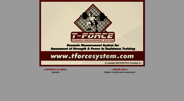 tforcesystem.com