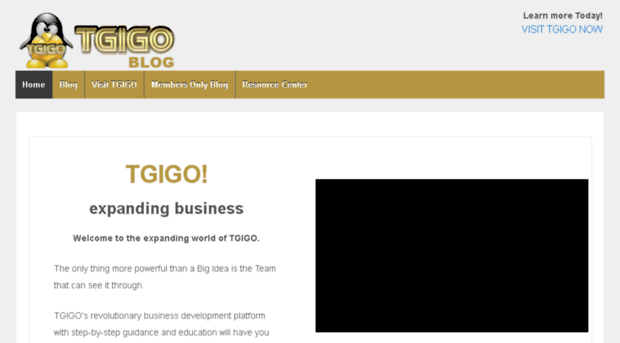 tgigoblog.com