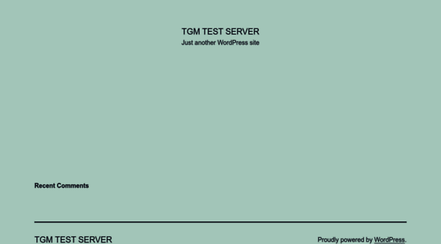 tgmtestserver.com