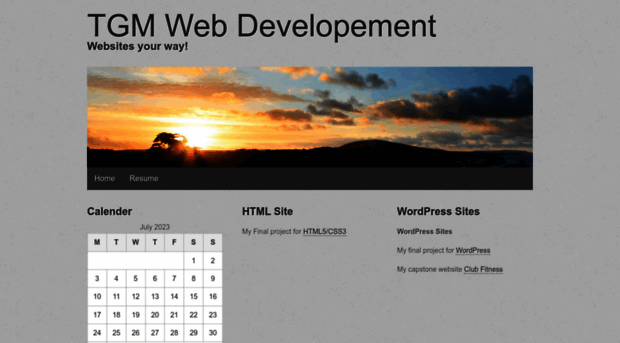 tgmwebdev.com