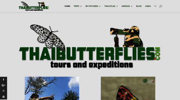 thaibutterflies.com