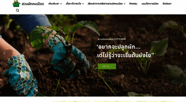 thaicityfarm.com