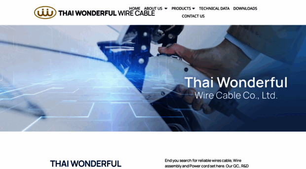 thaiwonderful.com