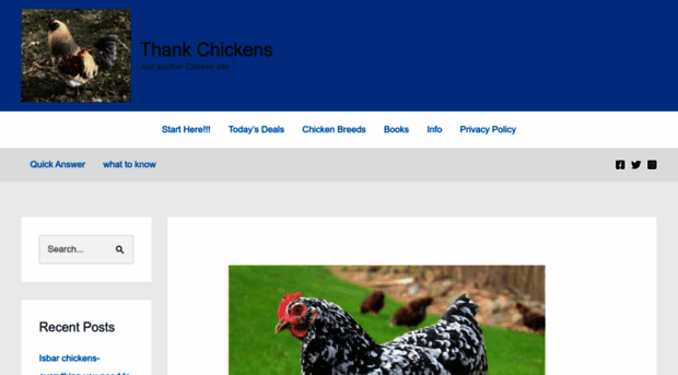 thankchickens.com