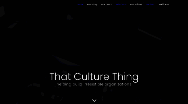 thatculturething.com