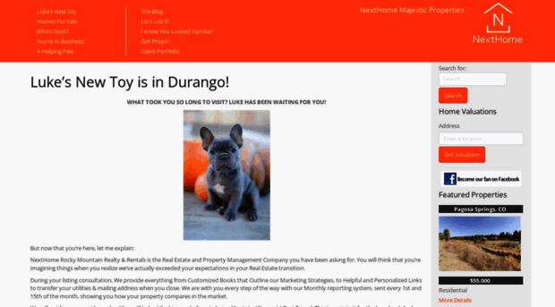 thatorangedog.com