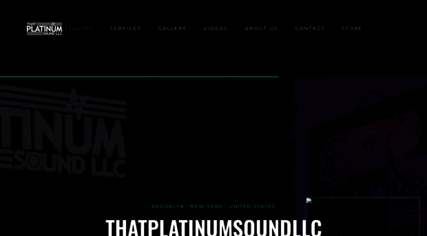 thatplatinumsoundllc.com
