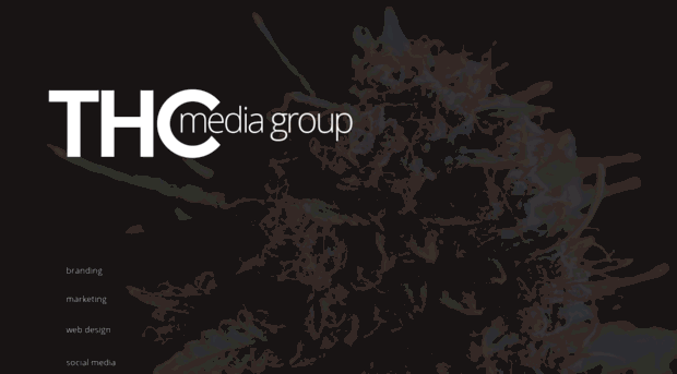 thcmediagroup.com