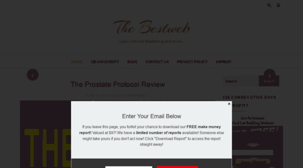 the-bestweb.com