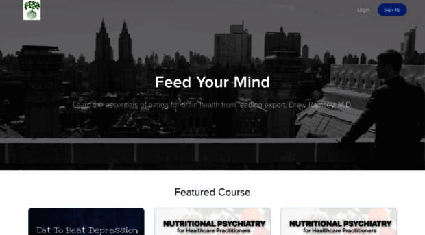 the-brain-food-academy.teachable.com