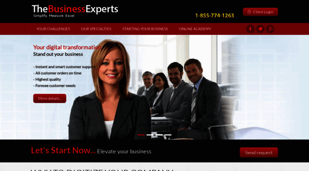 the-business-experts.com