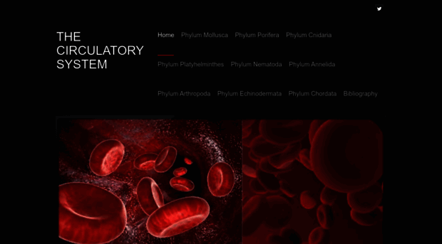 the-circulatory-system1.weebly.com