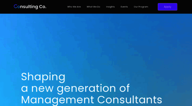 the-consulting.co