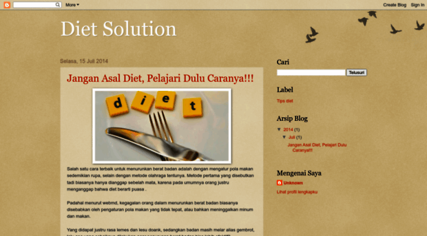 the-diet-solution.blogspot.com
