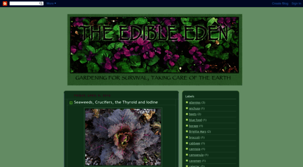 the-edible-eden.blogspot.com