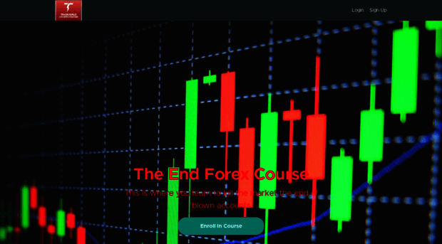 the-end-forex-course.teachable.com