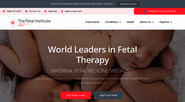 the-fetal-institute.com