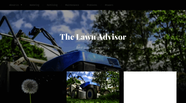 the-lawn-advisor.com