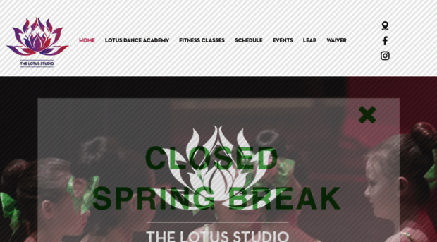 the-lotus-studio.com