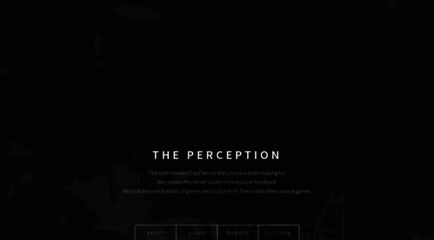 the-perception.com