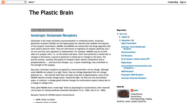 the-plastic-brain.blogspot.com