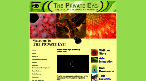 the-private-eye.com