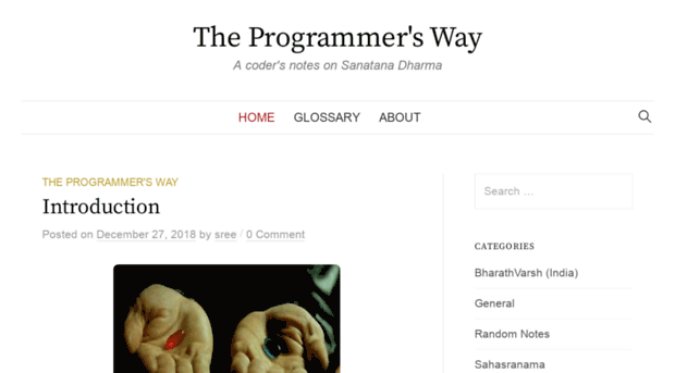 the-programmers-way.com