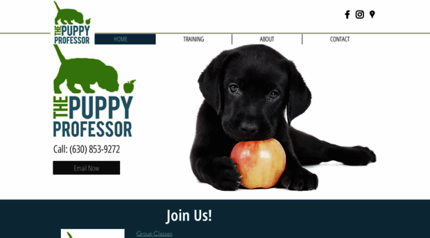 the-puppy-professor.com